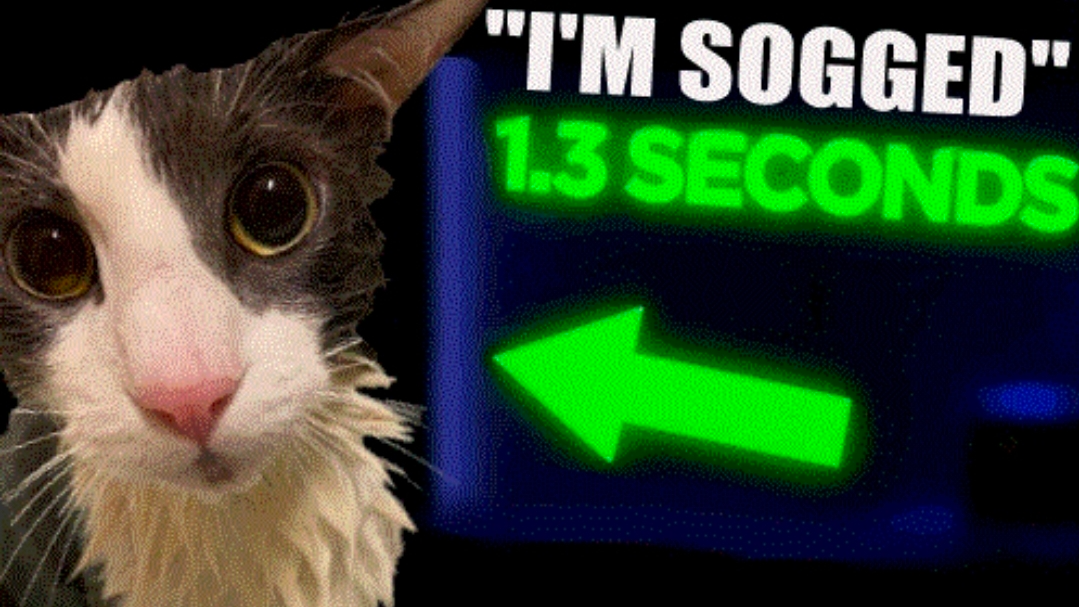 Soggy cat loversのバナー