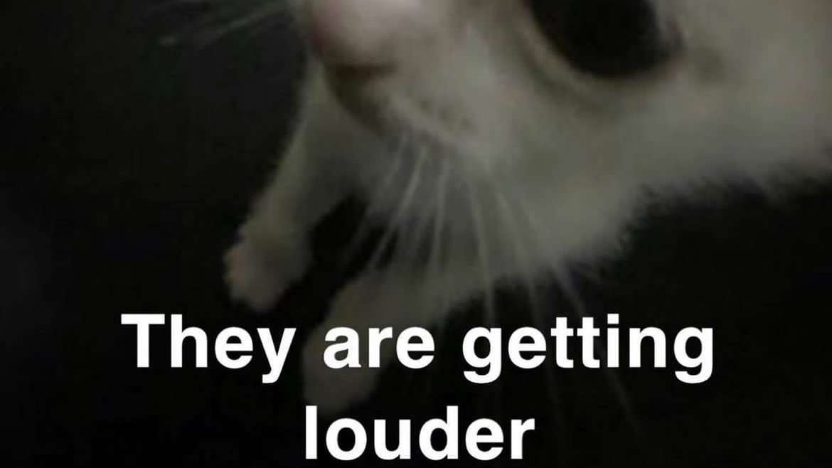 Joocys dumb stuff