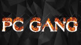 PCGANGのバナー