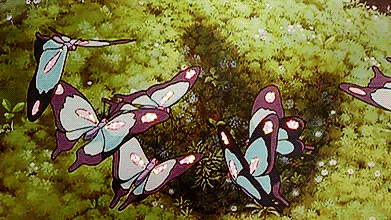 Entomology Clubのバナー