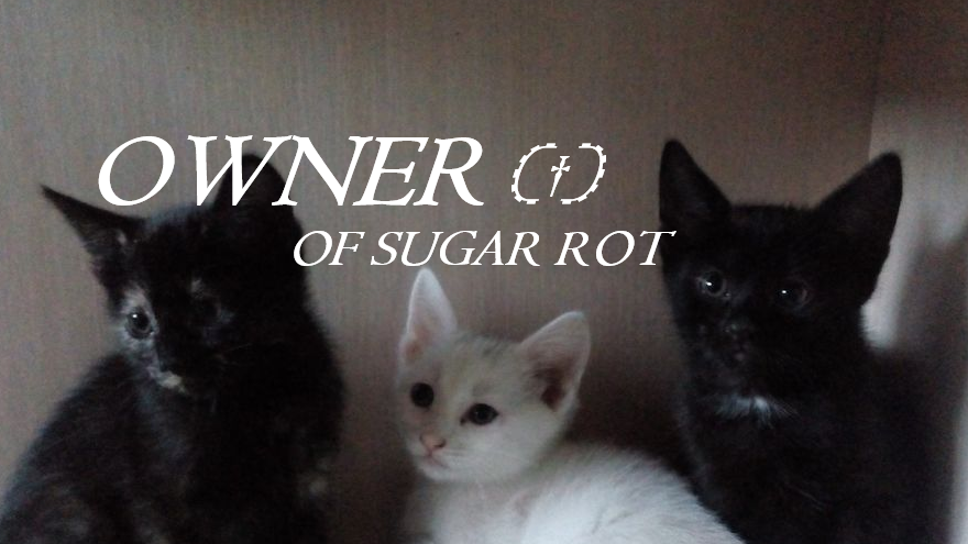 owner sugar rotのバナー