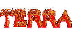 terraのバナー