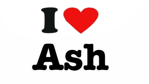 I love ashのバナー