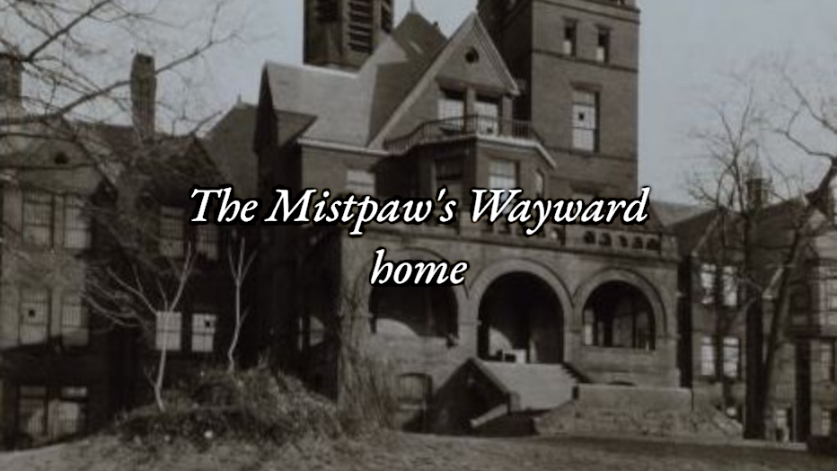 Mistpaws staff