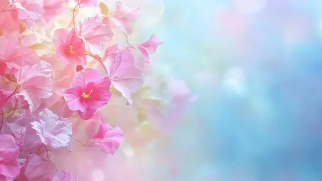 ~Little Haven~のバナー