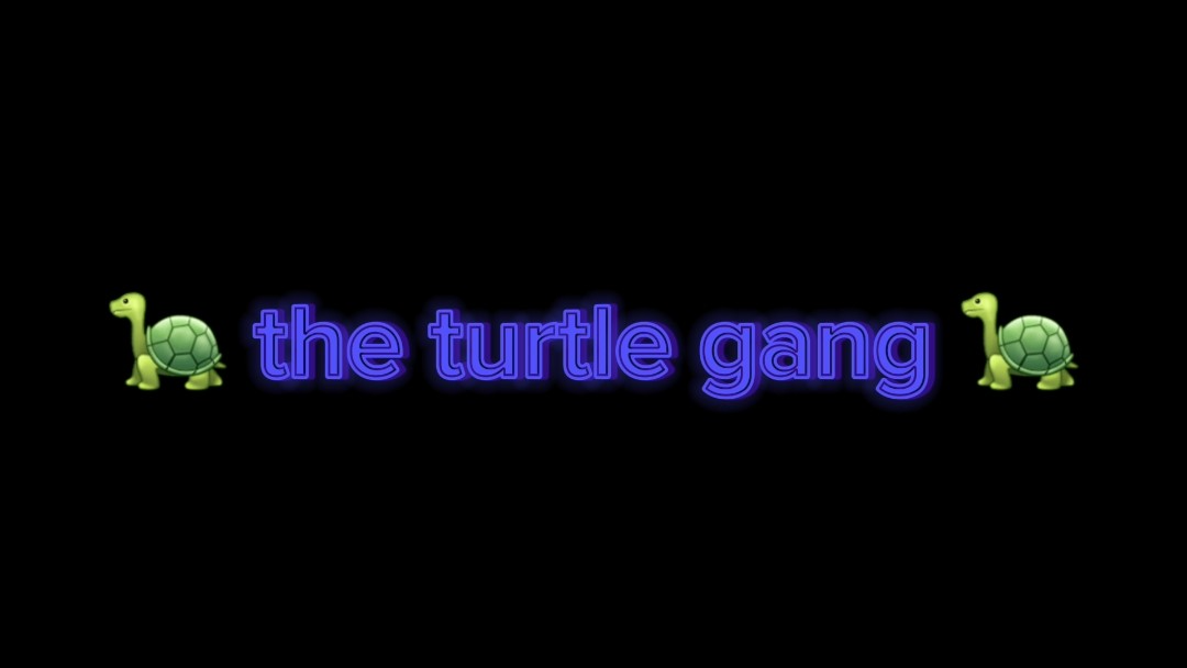 The turtle gang