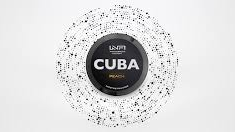 Snus Feinのバナー