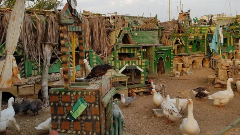 Quack Town