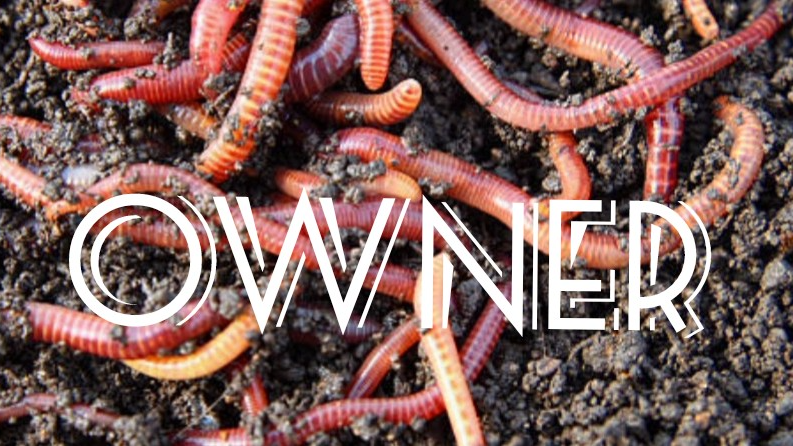 The worm gng owner