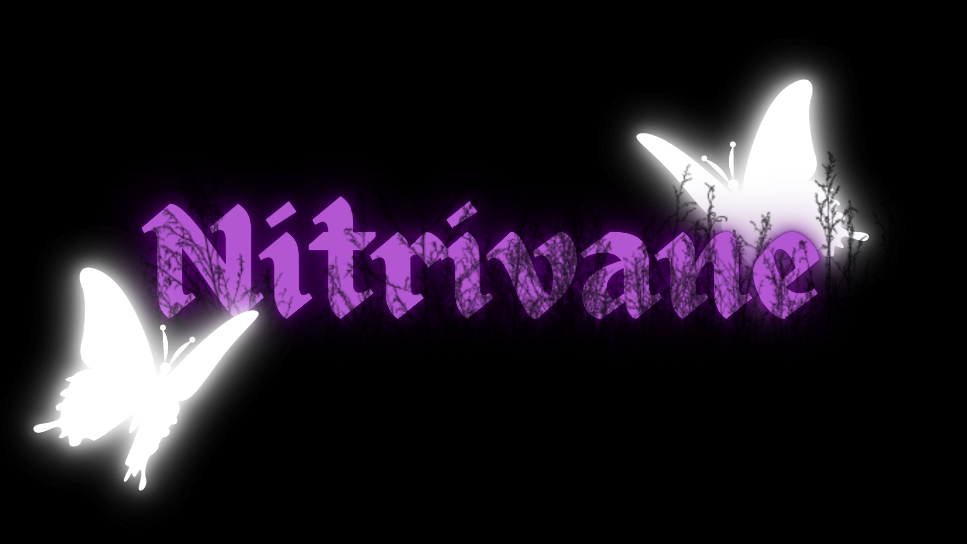 Nitrivaneのバナー