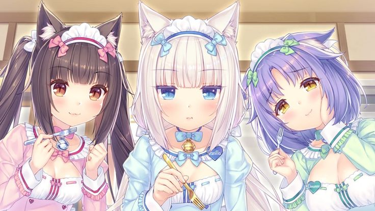 Sharky x sleepy x katのバナー