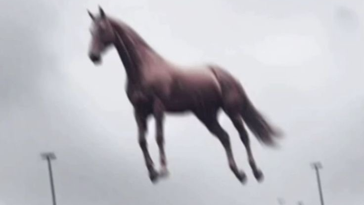 ~horsie~cult~のバナー