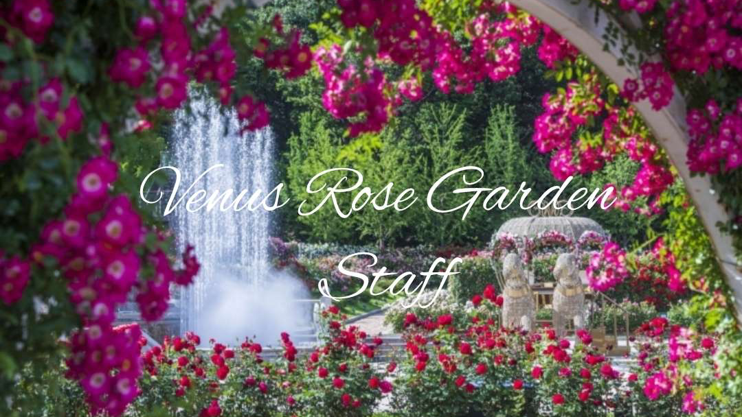 Venus Rose Garden Staffのバナー