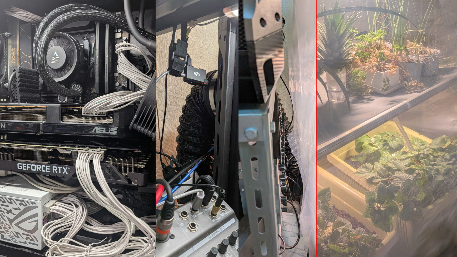 PCの排熱で植物を育てる変人のバナー