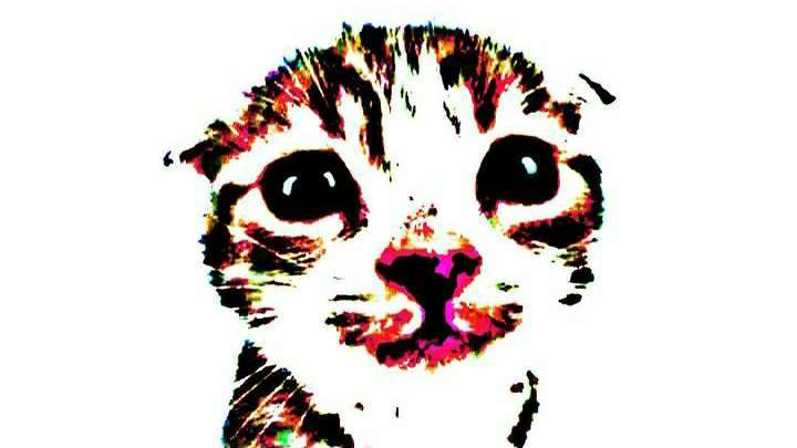 vCK