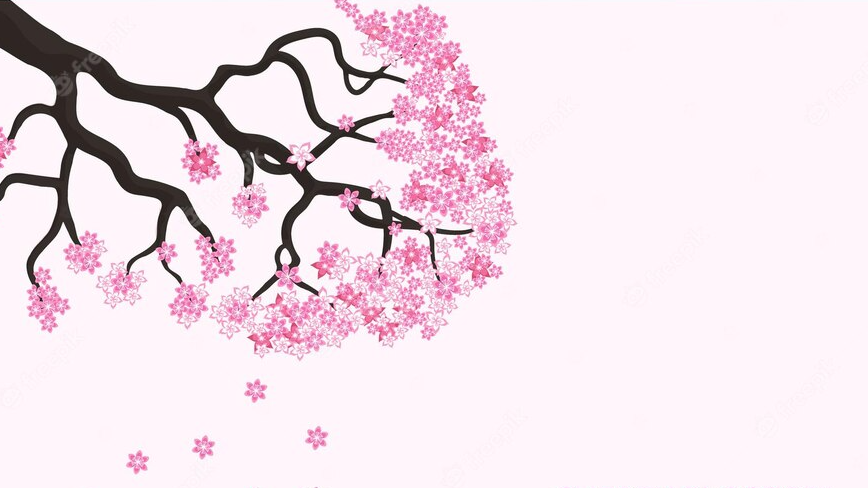 Sakura