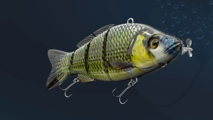 fishi3