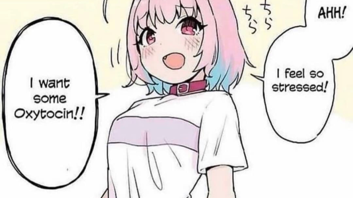 breastiesのバナー
