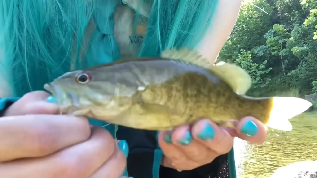Femboy Fishing Club