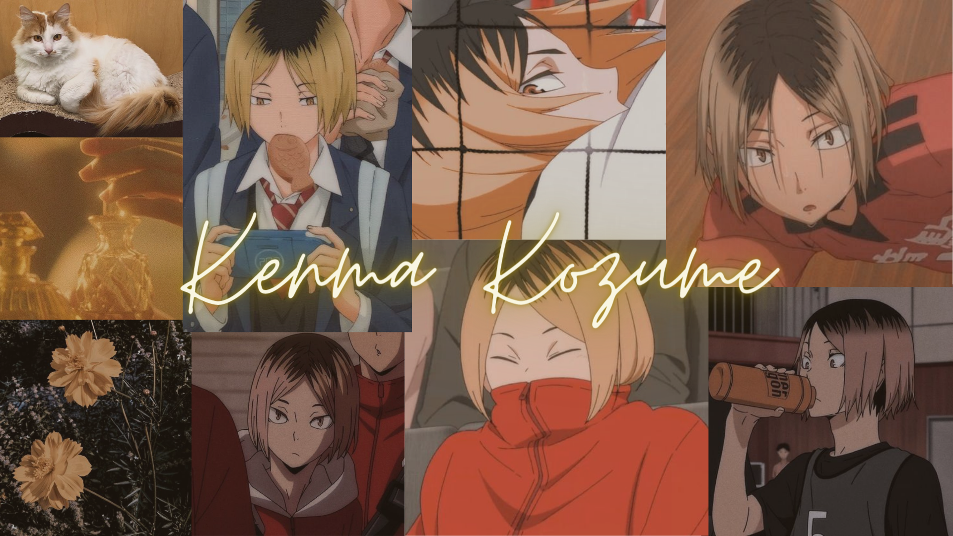 ~ Kenma's Wife ~