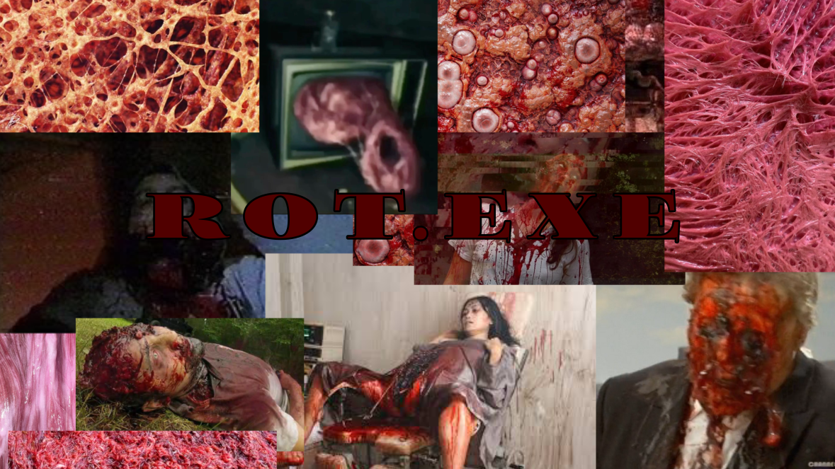 ROTEXEのバナー