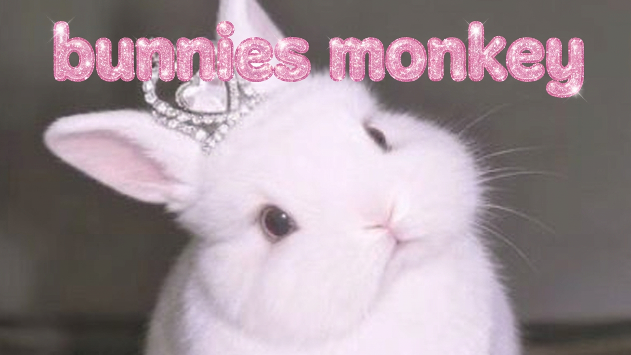 BUNNIESMONKEYSのバナー