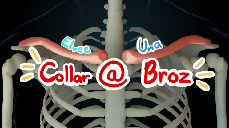 CollarBrozのバナー