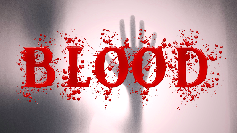 The Blood Butcher Bar Staff