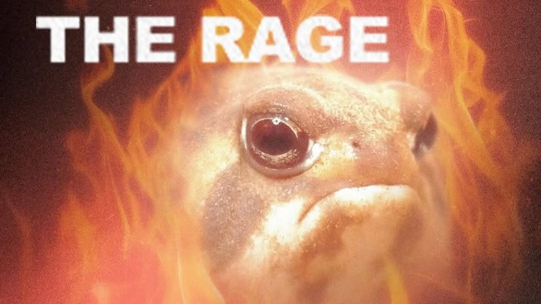 the frog lords