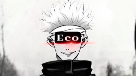 Team Eco