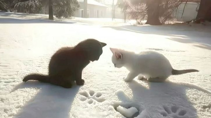 Dreaming of youのバナー