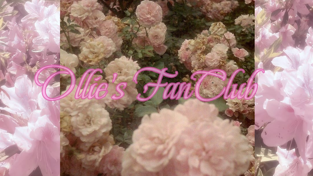 OLLIES FANCLUBのバナー