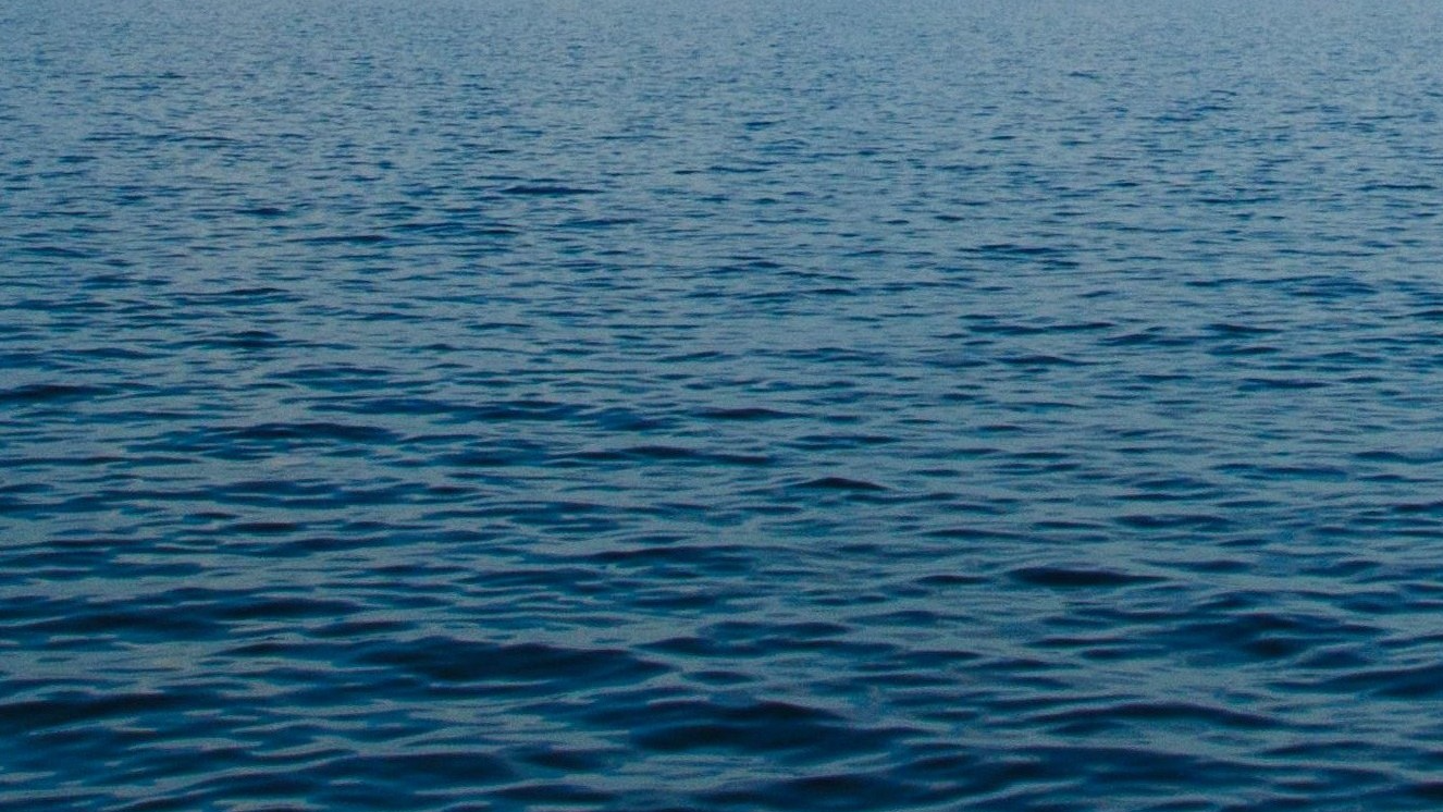 TheOceanのバナー