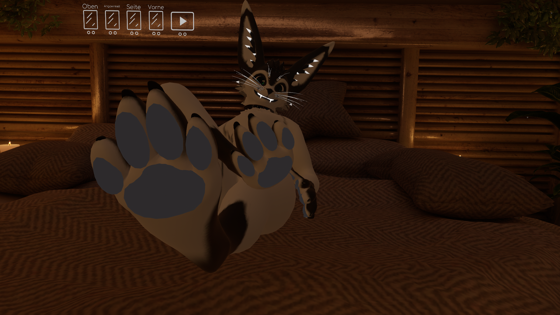 Love Pawsのバナー