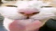 ay da gloop go off? i yoink it then my splurg go off