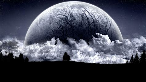 The dark moon republicのバナー