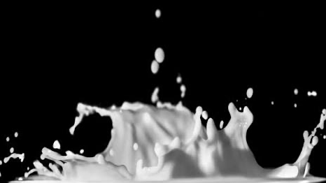 MILK LOVERS VRC