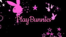 ~PlayBunnies~のバナー