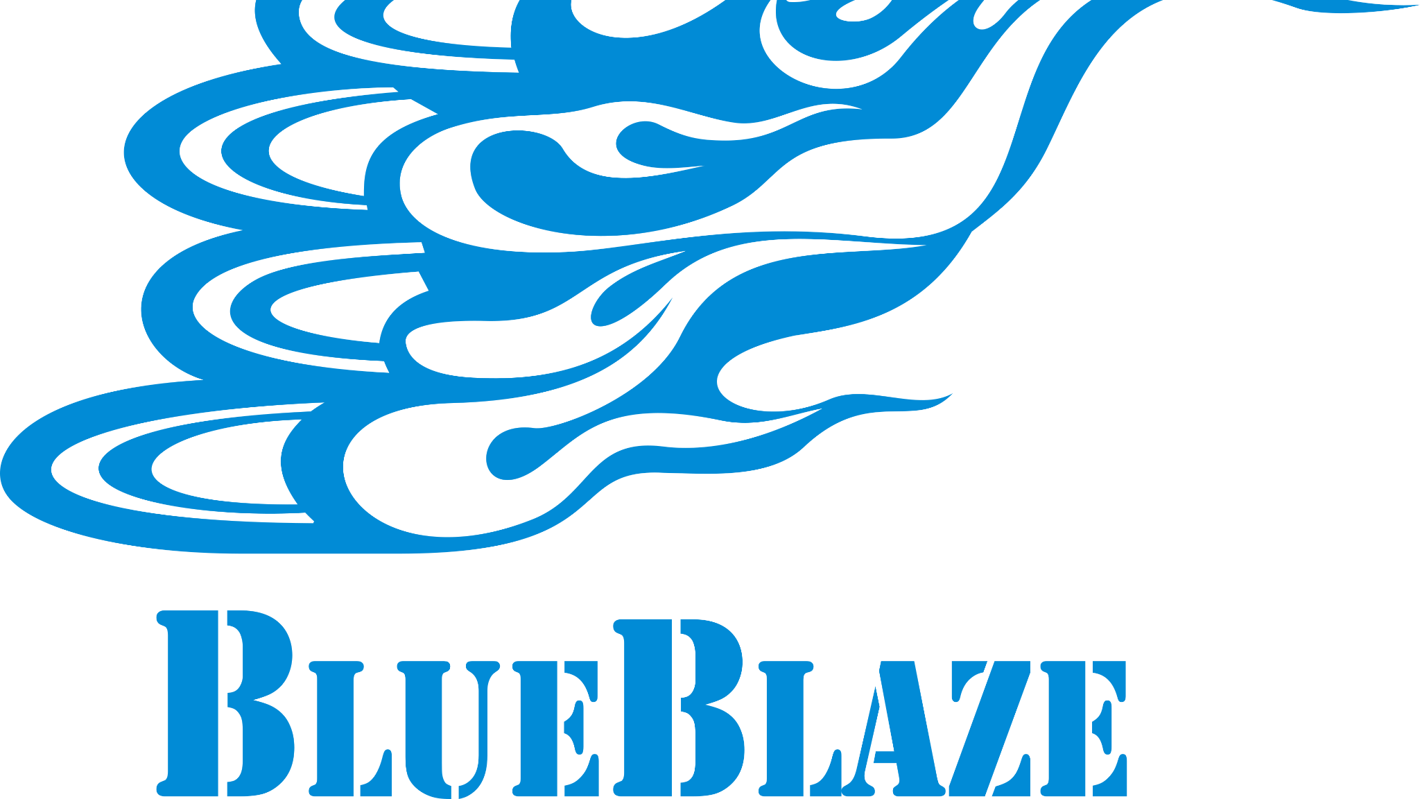 Team Blue Blazeのバナー