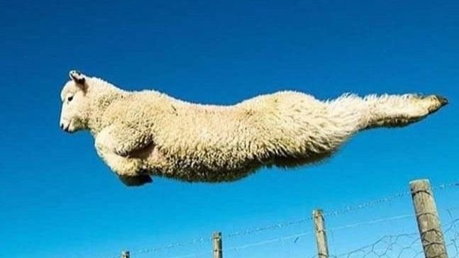 BAAAAAAのバナー