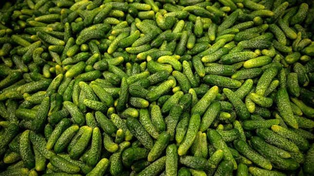 Pickle religionのバナー