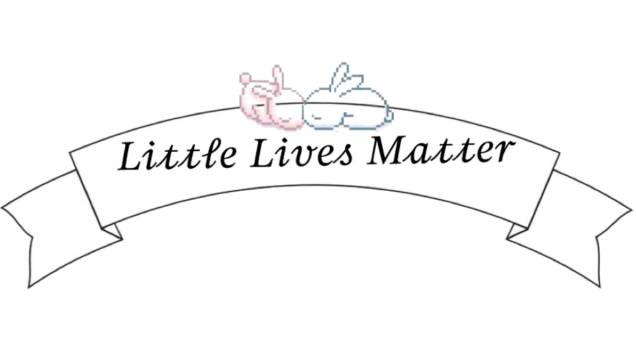 Little Lives Matter