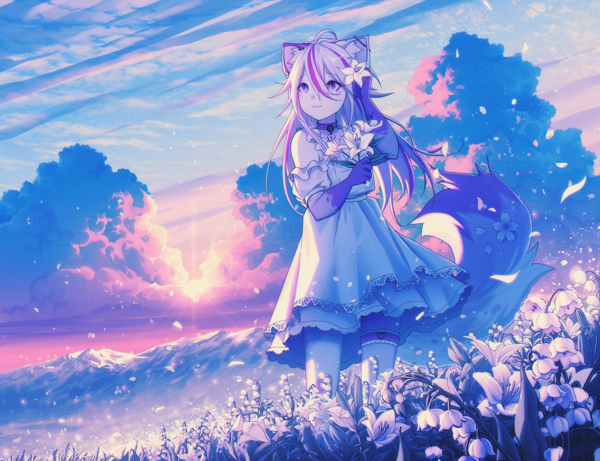 cutiesのバナー