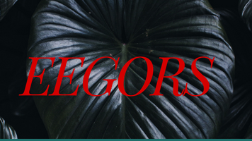 The Eegorsのバナー