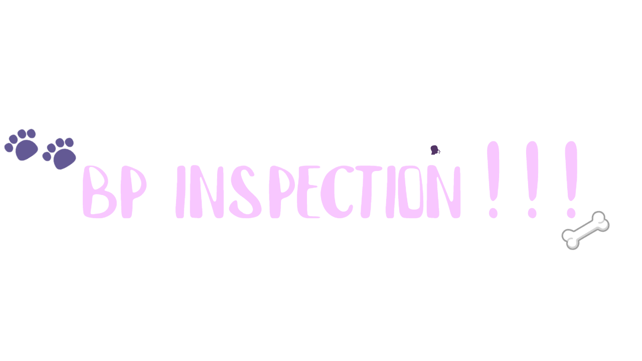bp inspectionのバナー