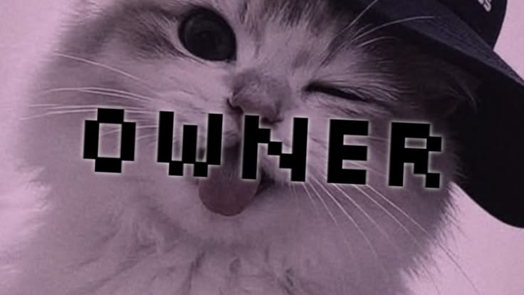 Night cat Ownerのバナー
