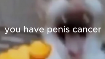 I HOPE YOU GET PENIS CANCERのバナー