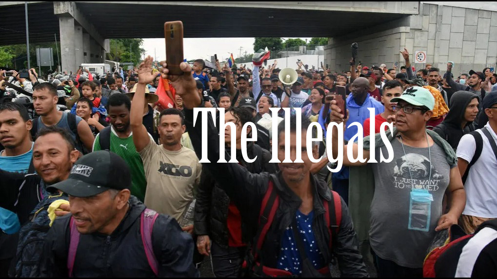 Illegalsのバナー