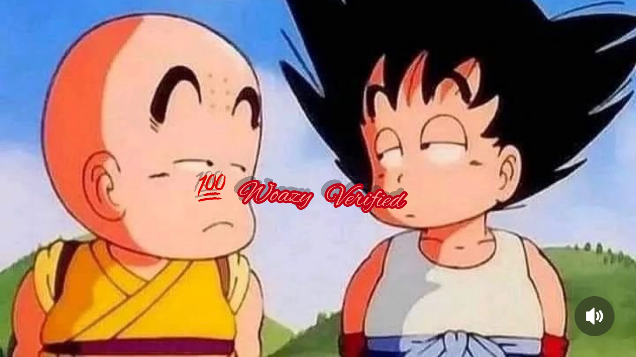WoazyVerified
