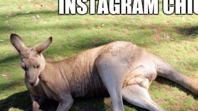 Roo'sのバナー